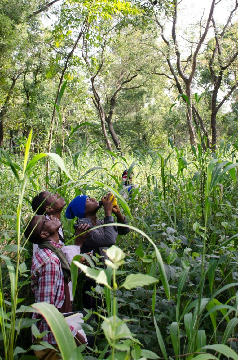 How Community-Led Conservation Is Saving Forest Ecosystems