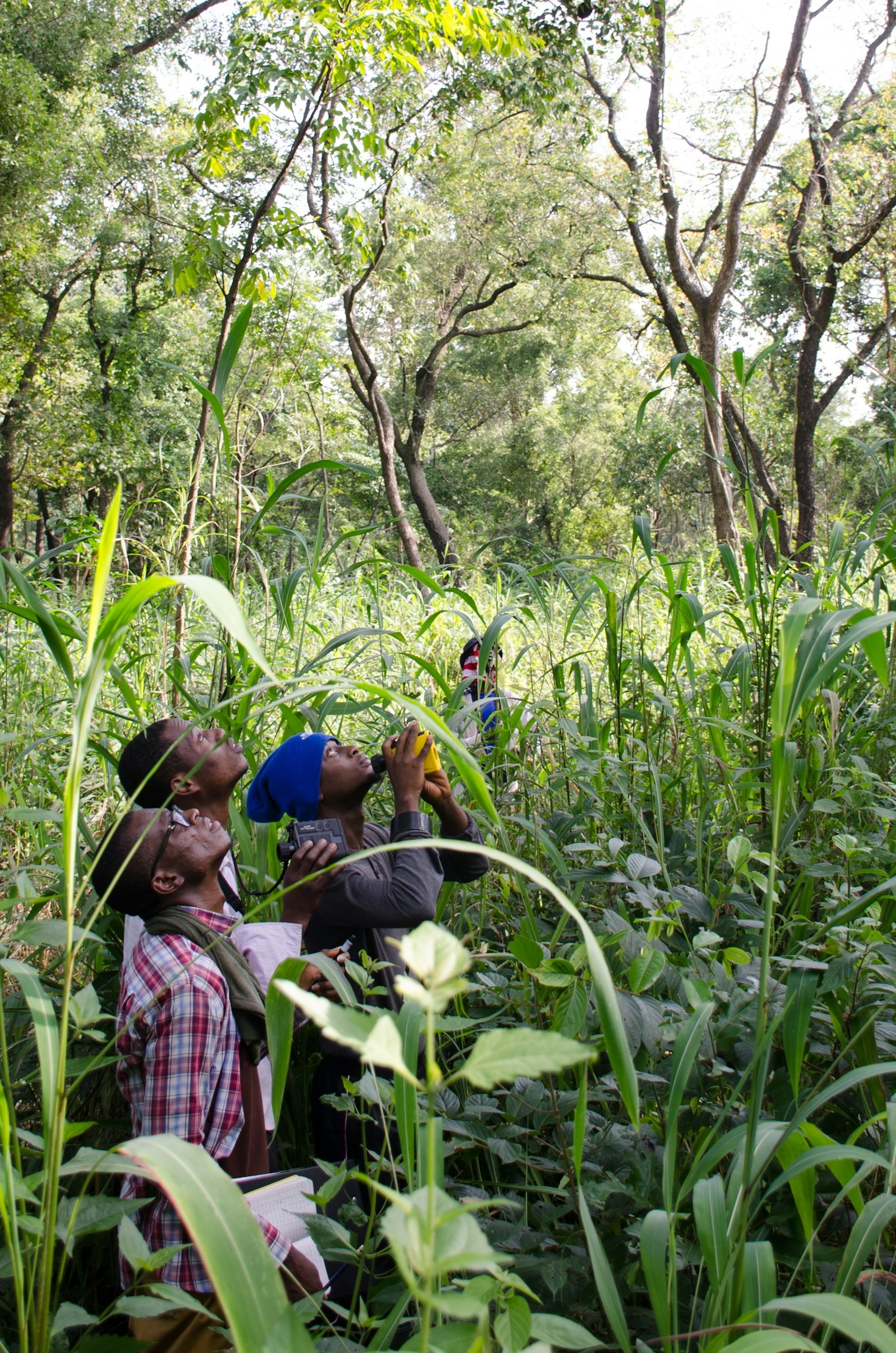 How Community-Led Conservation Is Saving Forest Ecosystems